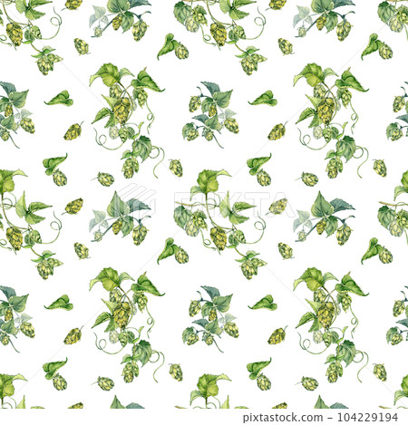 Hop vine, plant humulus watercolor seamless pattern isolated on white background. Hop on brunch with leaves, hop cones hand drawn. Design element for wrapping, label, packaging, paper, textile 104229194