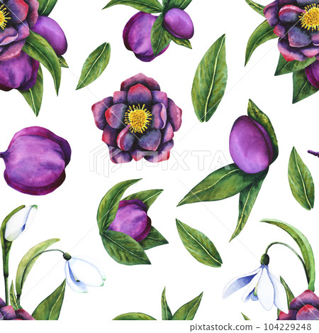 Hellebore black, snowdrop. Seamless pattern of watercolor elements on a transparent background. Hand drawn flowers, buds and leaves. Watercolor botanical work for invitations, textiles, paper products Hellebore black, snowdrop. Seamless pattern of watercolor elements on a transparent background. Hand drawn flowers, buds and leaves. Watercolor botanical work for invitations, textiles, paper products 104229248