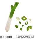 像水彩畫一樣的大蔥插畫 104229318