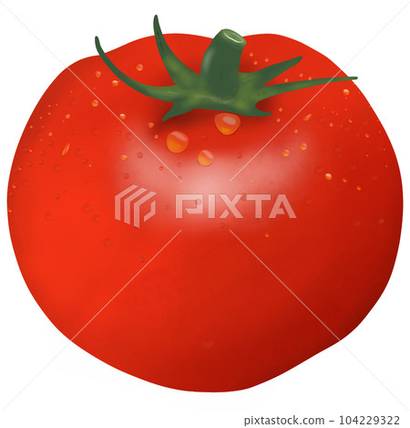 Tomato 3 104229322