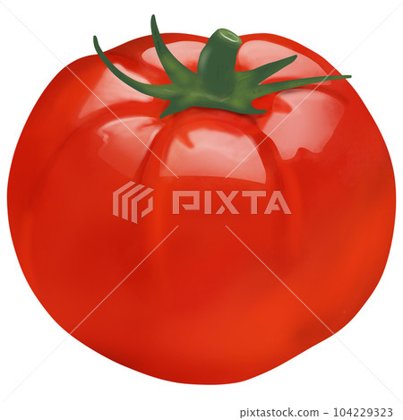 Tomato 4 104229323