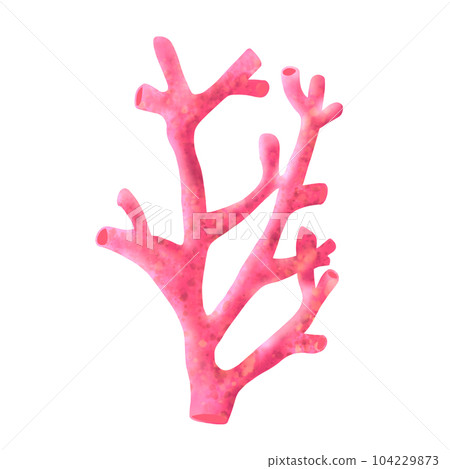 Coral 8 Coral 8 104229873