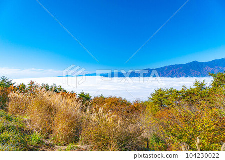 [Sea of clouds material] Sea of clouds in Inadani seen from Mt. Jinbagata in autumn [Nagano] 104230022