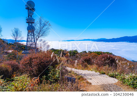 [雲海素材]秋天從神風形山看到稻穀的雲海[長野縣] 104230046
