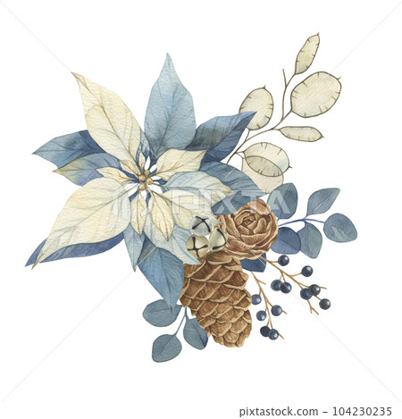 Watercolor Christmas vintage floral illustration with blue berries, poinsettia pine cones lunaria holy. Botanical watercolor illustration invitation design Watercolor Christmas vintage floral illustration with blue berries, poinsettia pine cones lunaria holy. Botanical watercolor illustration invitation design 104230235