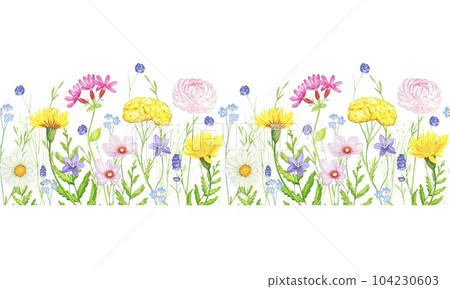 Hand drawn watercolor seamless border with watercolor wild herbs and flowers. Hand drawn watercolor seamless border with watercolor wild herbs and flowers. 104230603