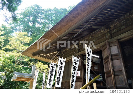 說到鎌倉古城，長谷寺、國寶鎌倉大佛、鎌倉最古老的杉本寺 104231123