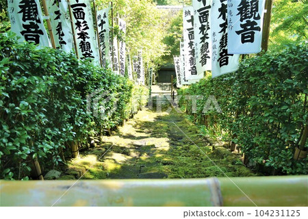 說到鎌倉古城,長谷寺、國寶鎌倉大佛、鎌倉最古老的杉本寺 說到鎌倉古城,長谷寺、國寶鎌倉大佛、鎌倉最古老的杉本寺 104231125