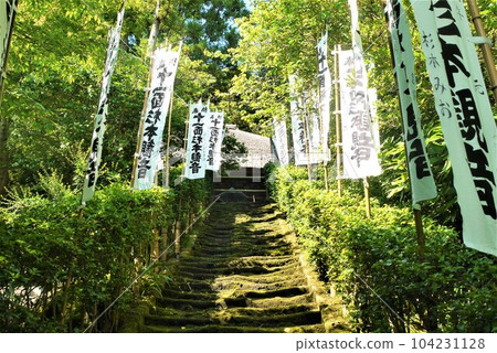 說到鎌倉古城,長谷寺、國寶鎌倉大佛、鎌倉最古老的杉本寺 說到鎌倉古城,長谷寺、國寶鎌倉大佛、鎌倉最古老的杉本寺 104231128