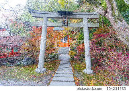 Autumn Kyoto Yamashina Bishamon-do Takadai Benzaiten Autumn Kyoto Yamashina Bishamon-do Takadai Benzaiten 104231383