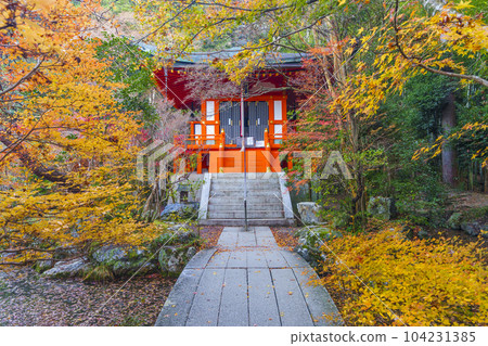 Autumn Kyoto Yamashina Bishamon-do Takadai Benzaiten Autumn Kyoto Yamashina Bishamon-do Takadai Benzaiten 104231385