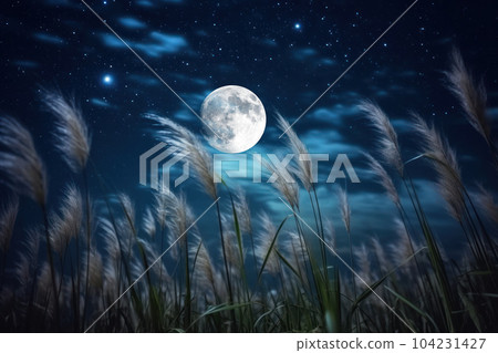 Full Moon and Susuki Full Moon and Susuki 104231427