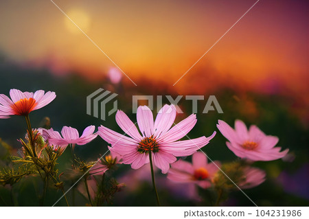 Ravishing closeup flower scenery in natural landscape with starry night sky. 104231986