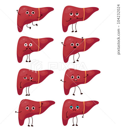 Collection cartoon liver. Human organ character with different emotions. Vector illustration. Isolated funny mascot for design and decoration medical themes. Collection cartoon liver. Human organ character with different emotions. Vector illustration. Isolated funny mascot for design and decoration medical themes. 104232024