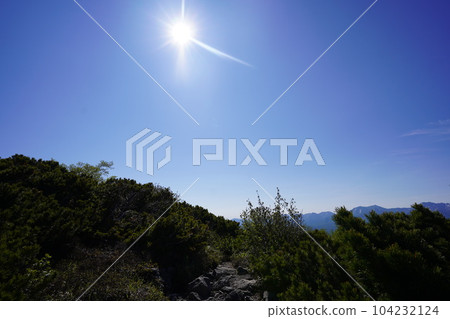 Climbing pine trail 104232124