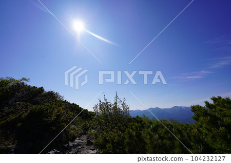Climbing pine trail Climbing pine trail 104232127