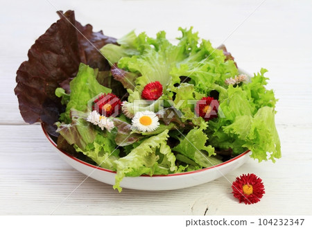 Fresh healthy lettuce salad and edible daisy flowers 104232347