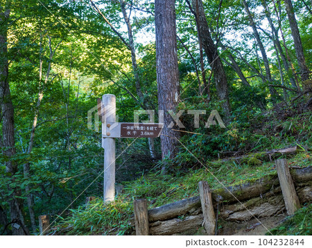 Mountain trip to Mt. Kasatori walking through a quiet forest 104232844