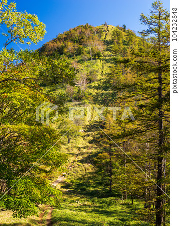 徒步穿越靜謐的森林，前往笠取山 104232848
