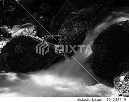 徒步穿越靜謐的森林,前往笠取山 徒步穿越靜謐的森林,前往笠取山 104232849