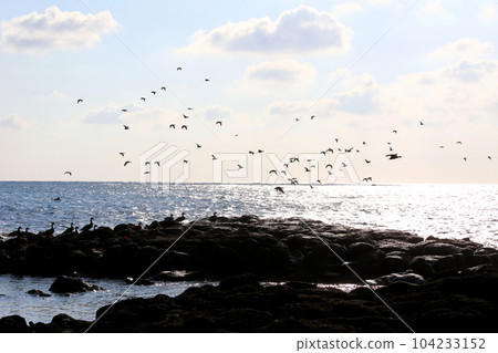 It is a beautiful scenery of the west coast of Jeju Island, a famous tourist destination in South Korea. It is a beautiful scenery of the west coast of Jeju Island, a famous tourist destination in South Korea. 104233152