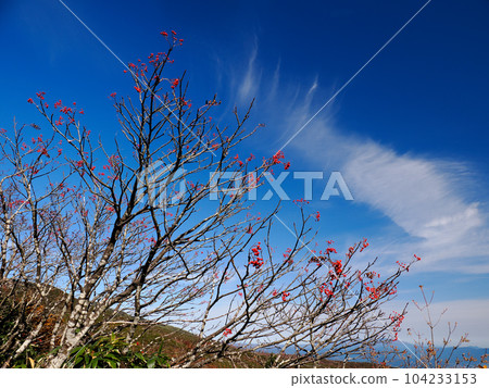 Mountain trip to Mt. Adatara in autumn Mountain trip to Mt. Adatara in autumn 104233153