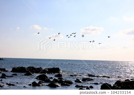 It is a beautiful scenery of the west coast of Jeju Island, a famous tourist destination in South Korea. It is a beautiful scenery of the west coast of Jeju Island, a famous tourist destination in South Korea. 104233154