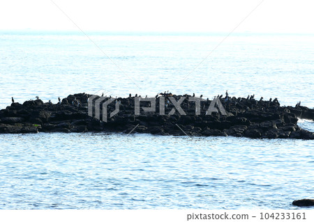 It is a beautiful scenery of the west coast of Jeju Island, a famous tourist destination in South Korea. It is a beautiful scenery of the west coast of Jeju Island, a famous tourist destination in South Korea. 104233161