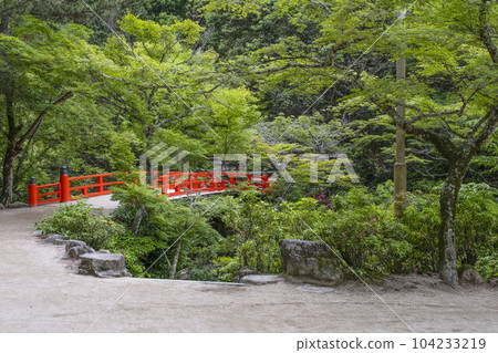 Aki no Miyajima, Momijidani Park Aki no Miyajima, Momijidani Park 104233219
