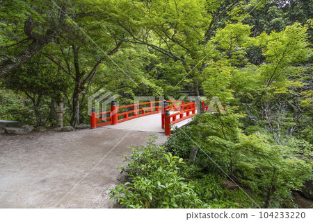 Aki no Miyajima, Momijidani Park 104233220