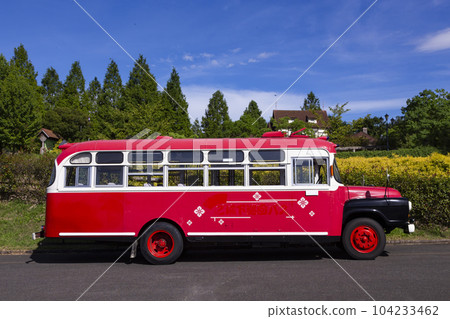 Bonnet bus 104233462