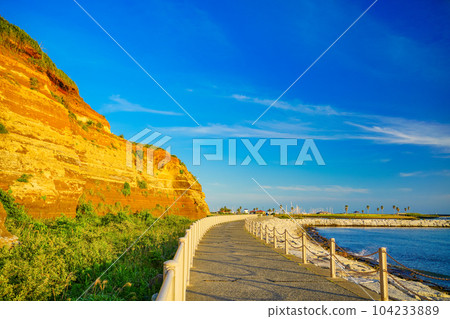 （千葉縣銚子市）屏風浦、夜景 104233889