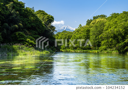 以流經靜岡縣駿都郡清水町的清水而聞名的柿田川和富士山 104234152