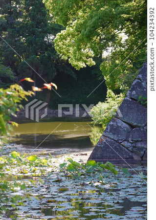 Yamatokoriyama Castle Ruins Yamatokoriyama Castle Ruins 104234392