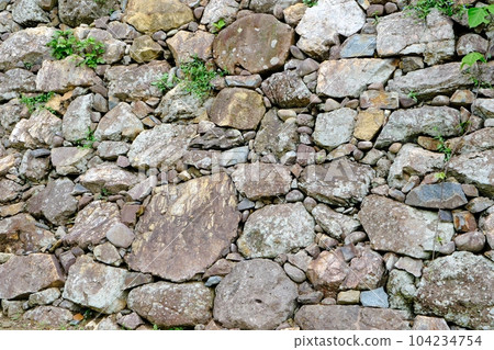 黑田官兵衛的石牆 姬路城 104234754