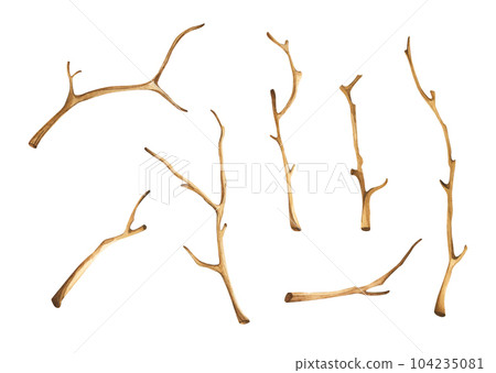 Set of Tree dry branches. Isolated on white background. Watercolor illustration. Set of Tree dry branches. Isolated on white background. Watercolor illustration. 104235081