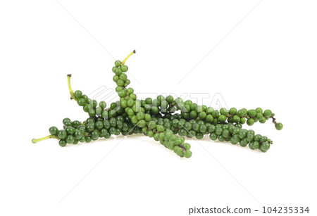 Fresh peppercorn organic farm isolated on white background. 104235334
