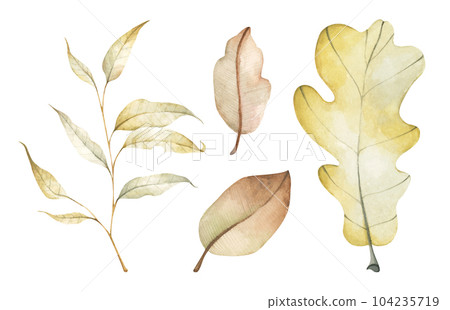 Set of multicolored fallen autumn leaves. Watercolor illustration. 104235719