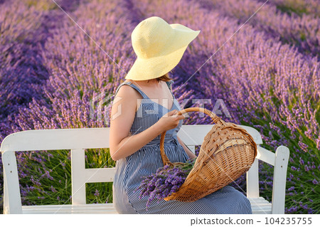 Female donning a straw hat and sundress sits on the bench nestled within a vibrant lavender field, holding a basket with flowers. Female donning a straw hat and sundress sits on the bench nestled within a vibrant lavender field, holding a basket with flowers. 104235755