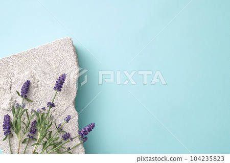 Blooming lavender placed on gray block of stone on pastel background. Minimal scene for advertising, display product and space for text. Lavender may also provide support for people with anxiety 104235823