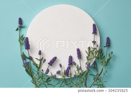 Empty cylindrical platform for product presentation and fresh lavender flower decorated on blue background. Lavender is a fragrant flower, also used as an herb with a variety of health benefits. Empty cylindrical platform for product presentation and fresh lavender flower decorated on blue background. Lavender is a fragrant flower, also used as an herb with a variety of health benefits. 104235825