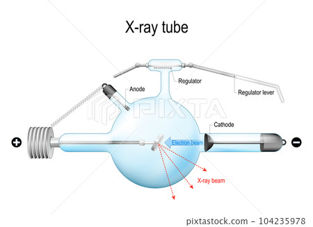 Crookes X-ray tube.  Realistic vector illustration. 104235978