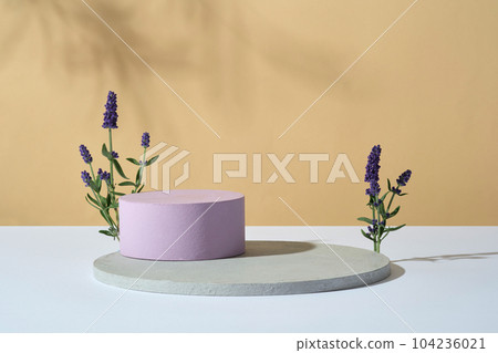 Big round podium with cylinder podium in purple color placed on. Vacant space on the podiums to display product extracted from Lavender (Lavandula) 104236021