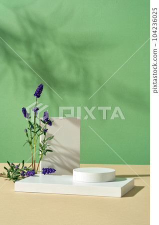 White podium in different shapes are arranged on green background with lavender flowers. Lavender (Lavandula) has been used as a traditional remedy for burns White podium in different shapes are arranged on green background with lavender flowers. Lavender (Lavandula) has been used as a traditional remedy for burns 104236025