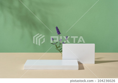 Against green background, two white podiums displayed with few lavender flowers. Stage showcase on minimal podium to show cosmetic product extracted from Lavender (Lavandula)  Against green background, two white podiums displayed with few lavender flowers. Stage showcase on minimal podium to show cosmetic product extracted from Lavender (Lavandula)  104236026