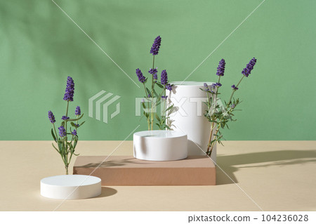 White set of podium and a single beige podium over pastel background with lavender flowers. Lavender (Lavandula) contains two inflammation-fighting compounds 104236028
