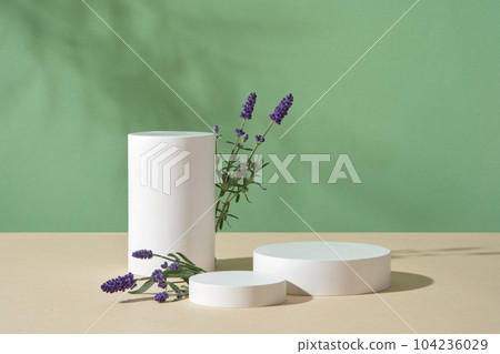Fresh lavender flowers displayed with a set of three podiums. Podiums with empty space for organic cosmetic product advertising of Lavender (Lavandula) extract 104236029