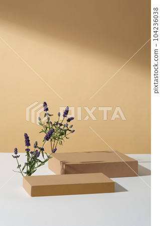 Two rectangle podiums placed on white plane with purple lavender flowers. Blank space for product presentation of Lavender (Lavandula) extract 104236038