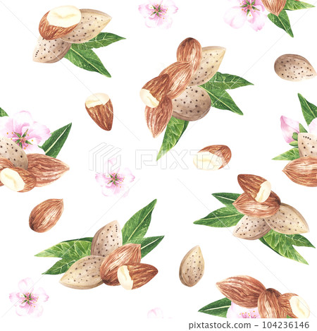 Seamless almonds and flowers pattern. Nuts textile pattern. Flowering almonds. Hand drawn watercolor illustration of nuts on white background, For textile, fabric, wrapping paper. 104236146