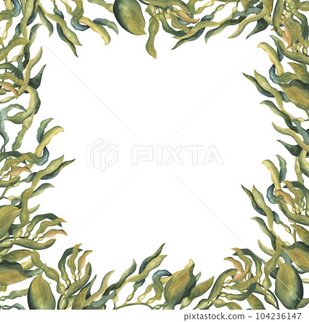 Square Frame of seaweed, coral and shells. Hand-drawn watercolor illustration isolated on white background. Underwater life template. For invitation, packaging, design 104236147